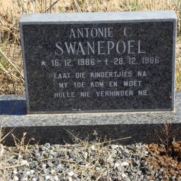 SWANEPOEL Antonie C. 1986-1986