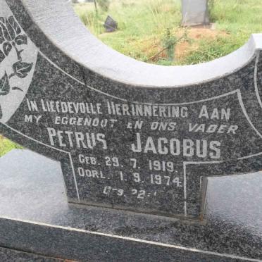 STEENBERG Petrus Jacobus 1919-1974