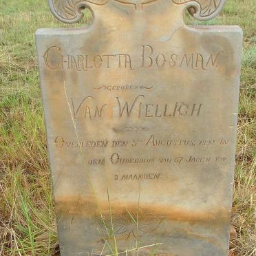 BOSMAN Charlotta nee VAN WIELLIGH  -1892
