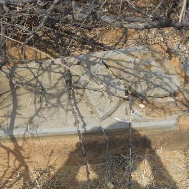 North West, WOLMARANSSTAD district, Vlakfontein 37, Port Allen, farm cemetery