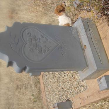 North West, WOLMARANSSTAD district, Vlakplaats 215, Biesieput, farm cemetery