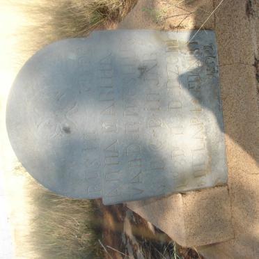 North West, WOLMARANSSTAD district, Goedgedacht 197, farm cemetery_03