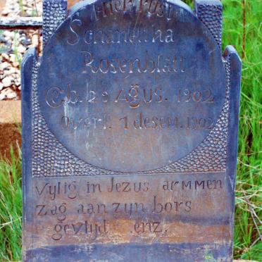 ROSENBLATT Schanettha 1902-1902
