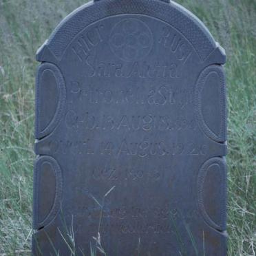 STEYN Sara Aletta Petronella 1894-1926