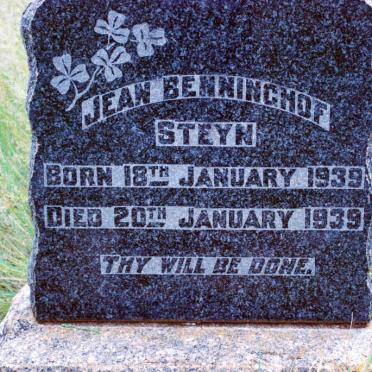STEYN Jean Benninghof 1939-1939