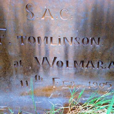 TOMLINSON F. -1905
