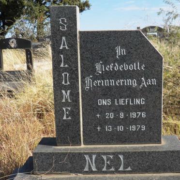 NEL Salome 1976-1979