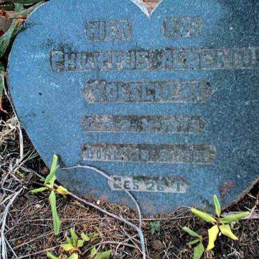 VOLSCHENK Philippus Albertus ??-??
