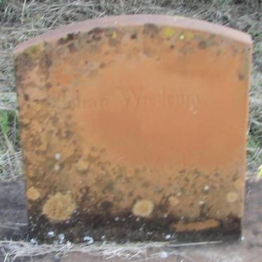 WIEDEN Johan