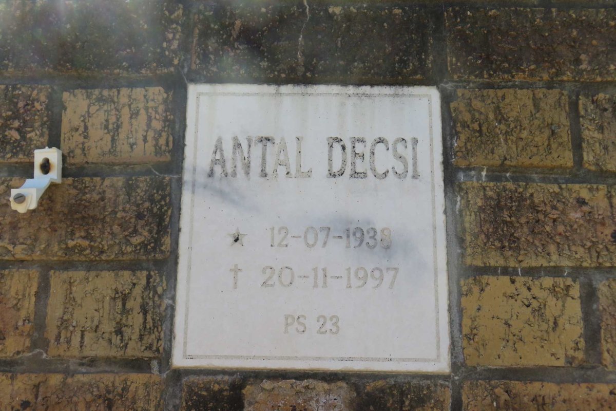 DECSI Antal 1938-1997