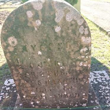 LOUWRENS ?ys?ert -191?