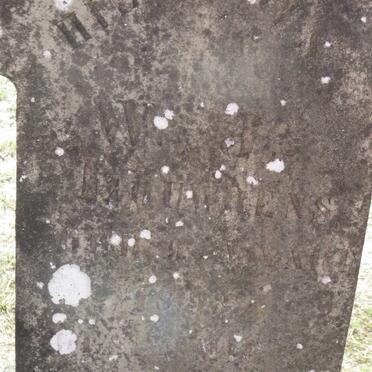 LOUWRENS W.J. 1893-192?