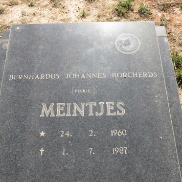 MEINTJES Berhardus Johannes Borcherds 1960-1987