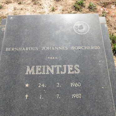 MEINTJES Berhardus Johannes Borcherds 1960-1987