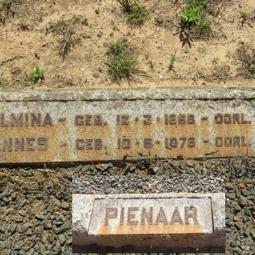 PIENAAR Wilhelmina 1868-1949 :: PIENAAR Johannes 1878-1949