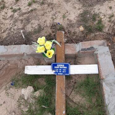 SAAYMAN Eusebuis Sharp 1967-2017