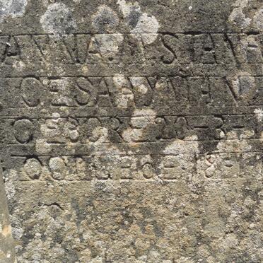 SAAYMAN Anna M. Stanforce 1883-