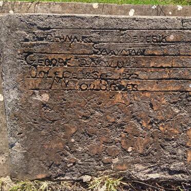 SAAYMAN Johannes Frederik 19?-1972