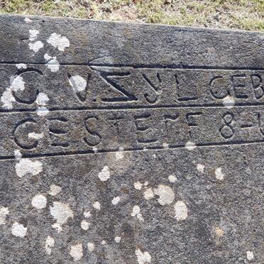 ZYL C., v. 1897-196?