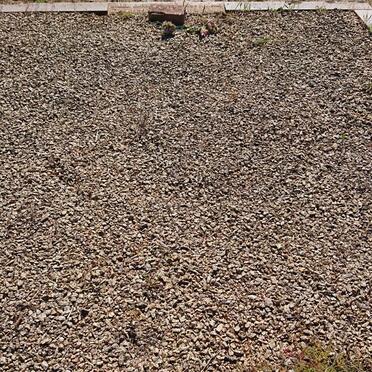 ZYL Willem Jacobus, van 1873-1943 &amp; Maria Elizabeth 1878-1954