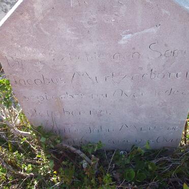 MURTZ Samuel Jacobus 1931-1931 :: MURTZ ? John 1933-??