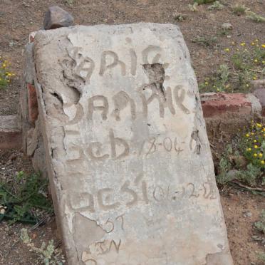 BAPIPHE ?apie