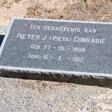 CONRADIE Pieter J. 1896-1912