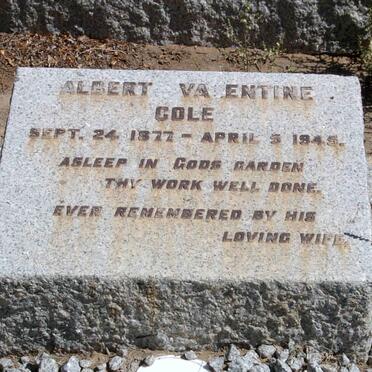 COLE Albert Valentine 1877-1945