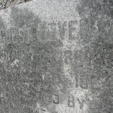 DEVENISH William Guest 1887-1964