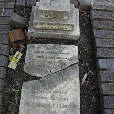 LOUW Matthew Michael 1884-1886 :: LOUW Isabella Margaretha 1883-1888 :: LOUW Jacobus Joh? 1888-1888 