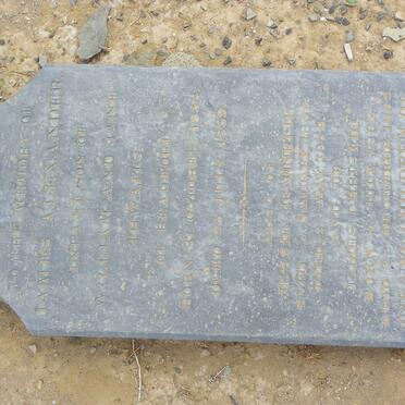THWAITS James Alexander 1858-1859 :: THWAITS Jessie Jeannette 1859-1859 :: THWAITS James Christie 1862-1862