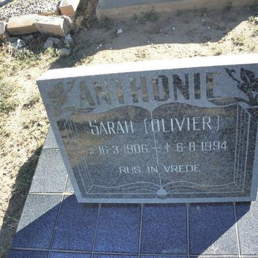 ANTONIE Sarah nee OLIVIER 1906-1994