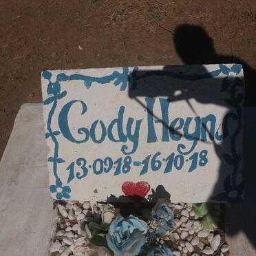 HEYNS Cody 2018-2018