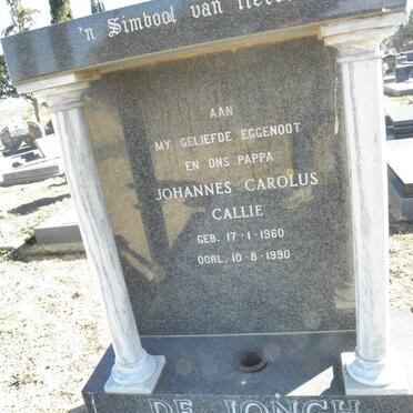 JONGH Johannes Carolus, De 1960-1990