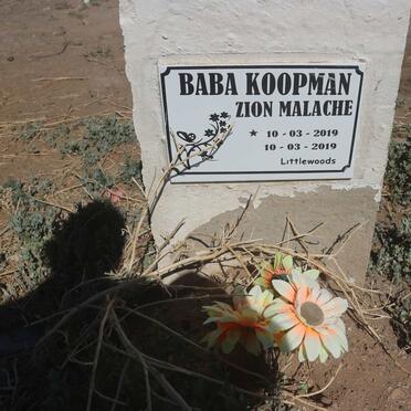 KOOPMAN Baba 2019-2019