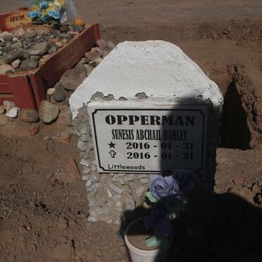 OPPERMAN Sunesis Abchail Barley 2016-2016