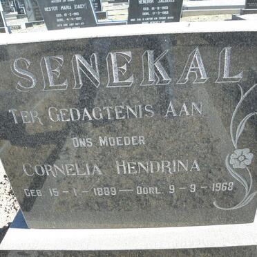 SENEKAL Cornelia Hendrina 1889-1968