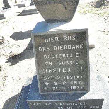 SPIES Hester J. 1971-1972