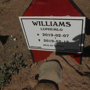 WILLIAMS Luphumlo 2019-2019