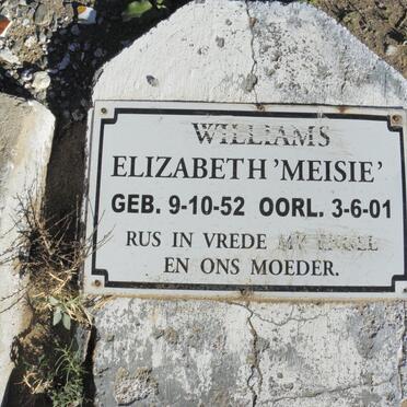 WILLIAMS Elizabeth 1952-2001