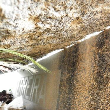 FERREIRA Gert Thomas 1890-1961 &amp; Alida Maria 1891-1976