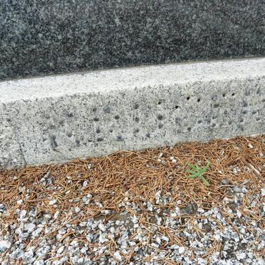 KRUGER David Johannes 1888-1960