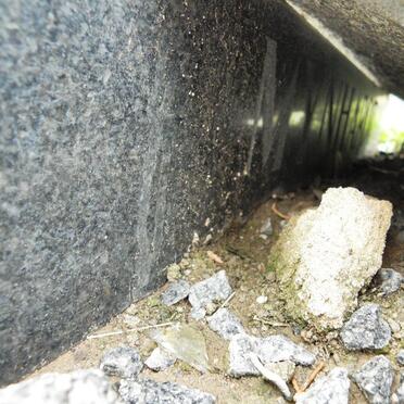 MYNHARDT Tobias Johannes Francois 1883-1961