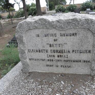 P - Vanne :: Surnames - P