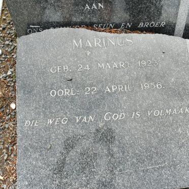 PIENAAR Marinus 1923-1956