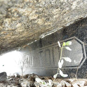 TOIT Willem Jacobus, du 1904-1962