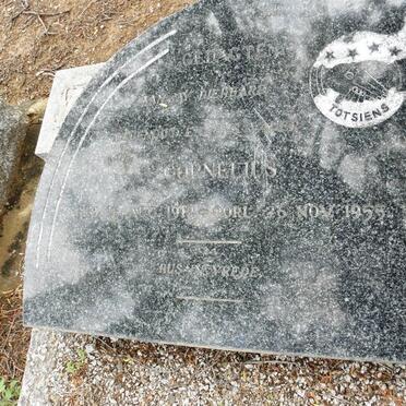 VILLIERS Cornelius, de 1918-1955