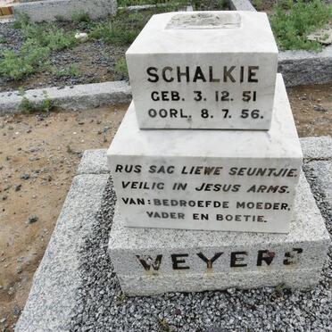 WEYERS Schalkie 1951-1956