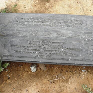 WILLIAMS Willie J. -1904