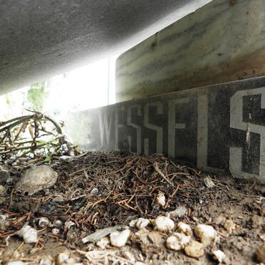 WESSELS Johannes H. 1916-1987 &amp; Johanna C. STOLK 1921-